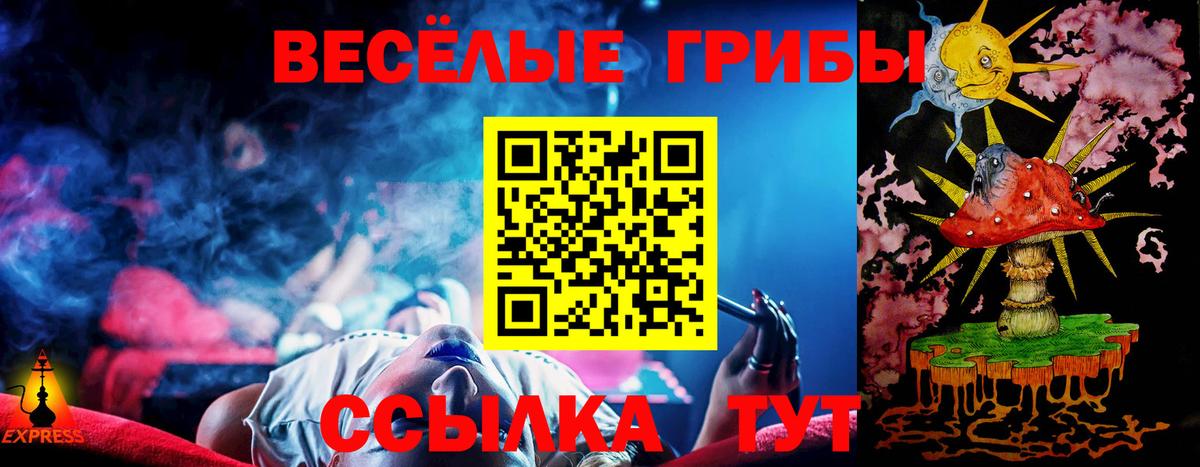 Нальчик  Псилоцибиновые грибы мицелий  Вход с VPN 